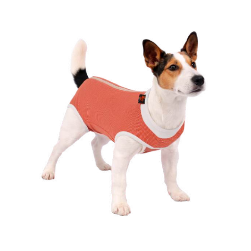 Wonder Body Postoperatorio para Perros y Gatos
