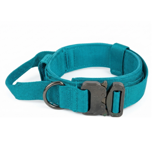 Collar Táctico para Perros con Hebilla Metálica