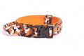 Collar Comando para Perros con Mango de Control